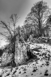 Rocks and Trees 4