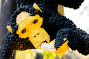 Legoland 7