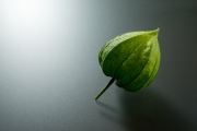 Chinese Lantern 3