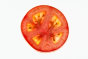 Tomato 1