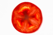 Tomato 4