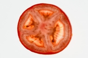Tomato 6