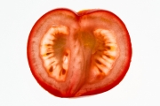 Tomato 7