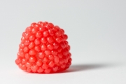 Berries 1