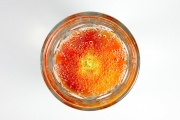 Tomato Experiment 1