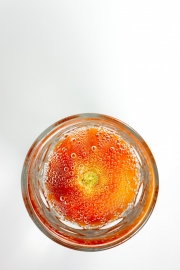 Tomato Experiment 3