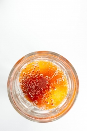 Tomato Experiment 4