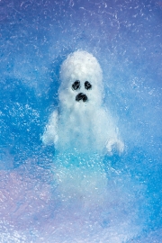 Frozen Ghost 3