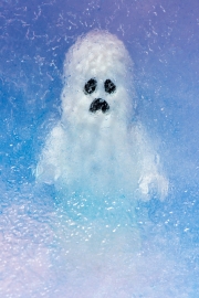 Frozen Ghost 4