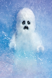 Frozen Ghost 5