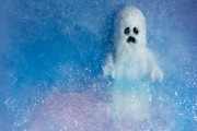 Frozen Ghost 6