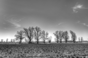 Donaumoos HDR 1