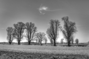 Donaumoos HDR