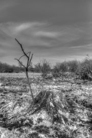 Donaumoos HDR 4