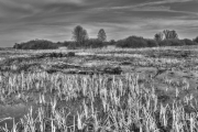 Donaumoos HDR 5