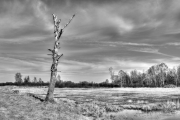 Donaumoos HDR 8