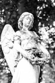 Angel 2