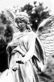 Angel 3