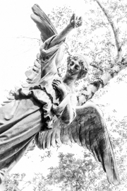Angel 4