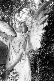 Angel 5