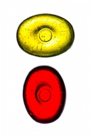 Candies 1