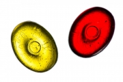 Candies 2