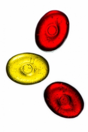 Candies 5