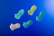 Sweet Sea 1