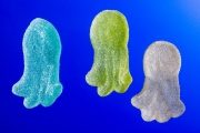 Sweet Sea 4