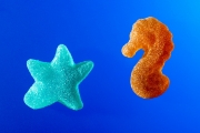 Sweet Sea 6