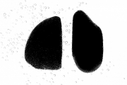 Stones 3