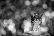 Angel 2
