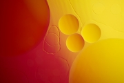 Oil Drops 1