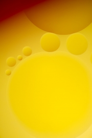 Oil Drops 3