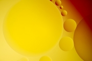 Oil Drops 4