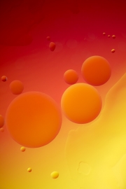 Oil Drops 6