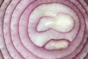 Onion 4