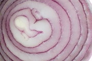 Onion 5