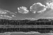 Landscape 1