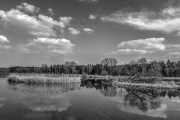 Landscape 4