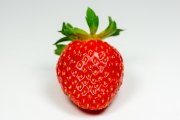 Strawberry 4