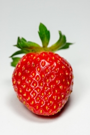 Strawberry 7