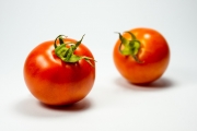 Tomatos 3