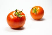 Tomatos 4