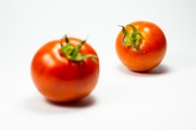 Tomatos 5