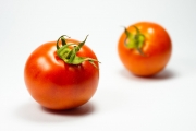Tomatos 6