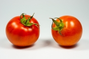 Tomatos 7