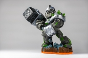 Figure 1 (with Focus Stacking)