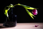 Flowers Workshop 7