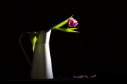 Flowers Workshop 8